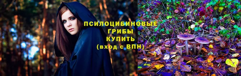 Псилоцибиновые грибы Cubensis  Ахтубинск 